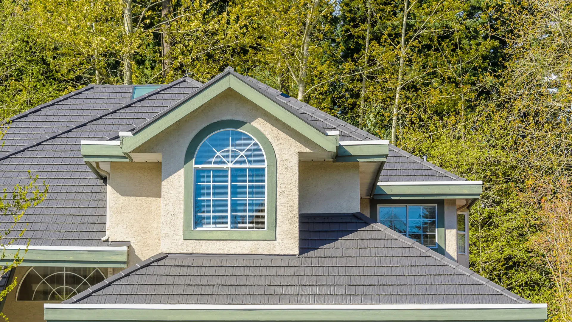 Castle Pines neighborhood among the pines